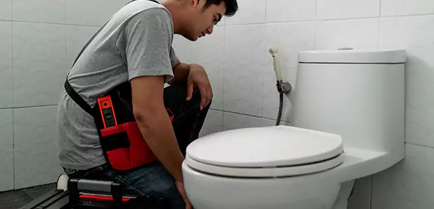 Toilet Repair in Elmwood Park