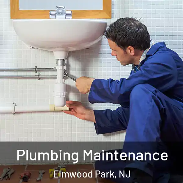 Plumbing Maintenance Elmwood Park, NJ