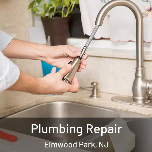 Plumbing Repair Elmwood Park, NJ
