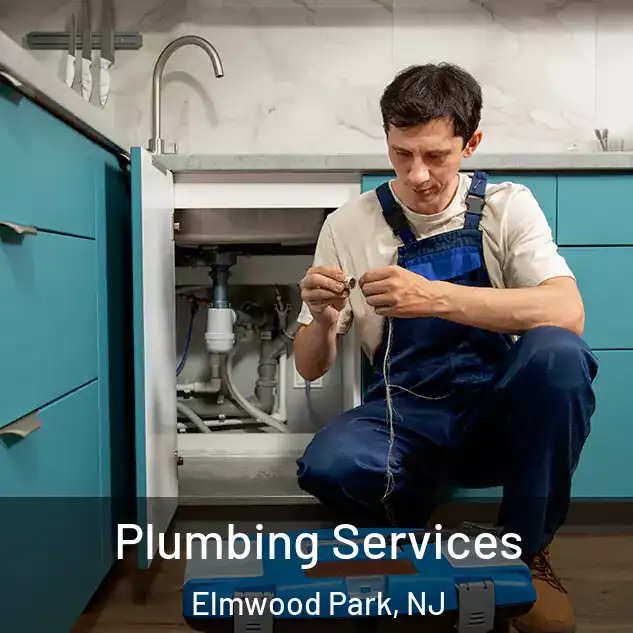Plumbing Services Elmwood Park, NJ