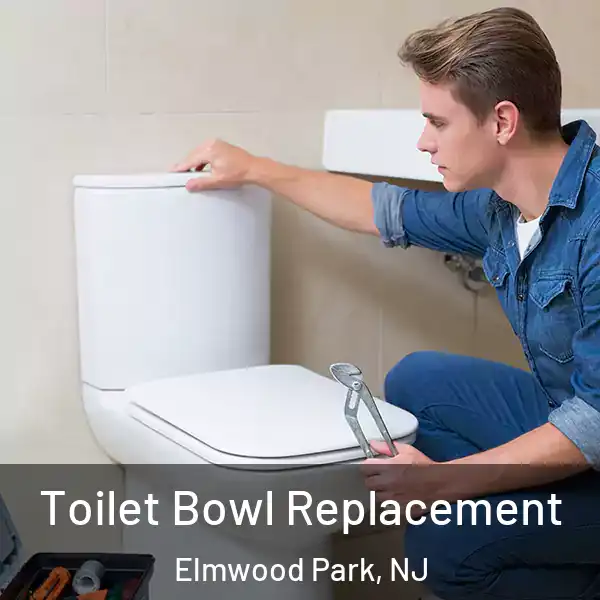  Toilet Bowl Replacement Elmwood Park, NJ
