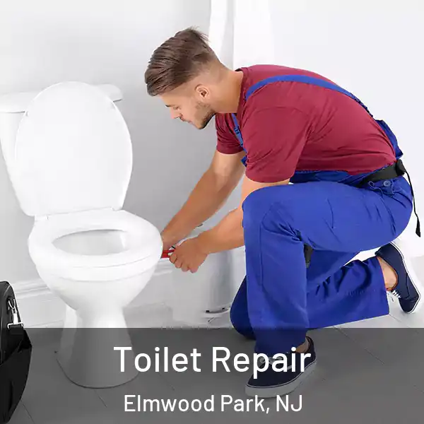  Toilet Repair Elmwood Park, NJ