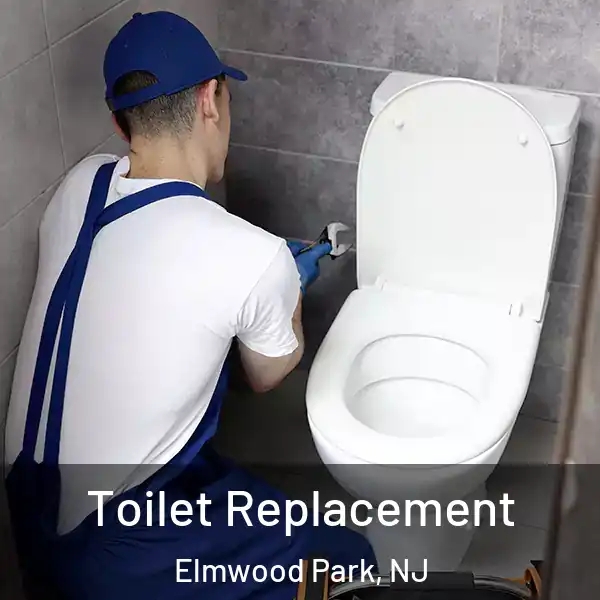  Toilet Replacement Elmwood Park, NJ