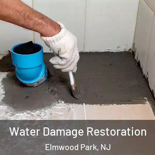  Water Damage Restoration Elmwood Park, NJ