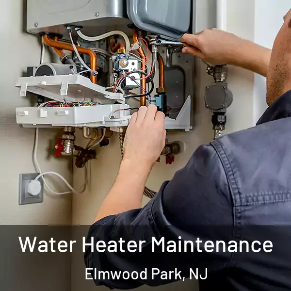  Water Heater Maintenance Elmwood Park, NJ