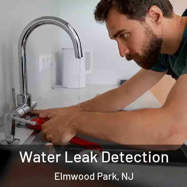  Water Leak Detection Elmwood Park, NJ