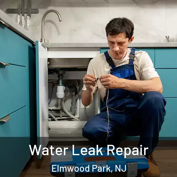  Water Leak Repair Elmwood Park, NJ